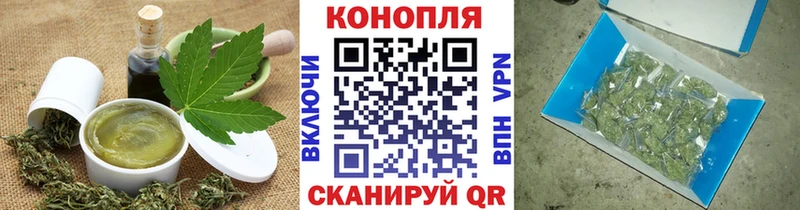 Cannafood конопля  Гай 