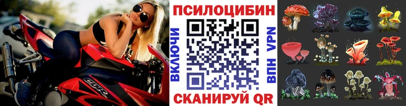 наркотики  KRAKEN ссылка  Галлюциногенные грибы Psilocybine cubensis  Гай 